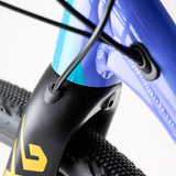 S'COOL | Fahrrad | raX XG 27,5-10S ADV X | Flash blue - Vegas gold - Funwheel