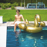 Gold Swan Float (7)