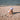 Swim Essentials | UV Sun Hat | Purple Sea Star