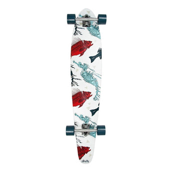 area_longboard_fish_and_horse_ar-322616