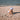 Swim Essentials | UV Sun Hat | 1-2 Years | Purple Sea Star