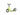 Yedoo | Scooter | Tidit | Lime